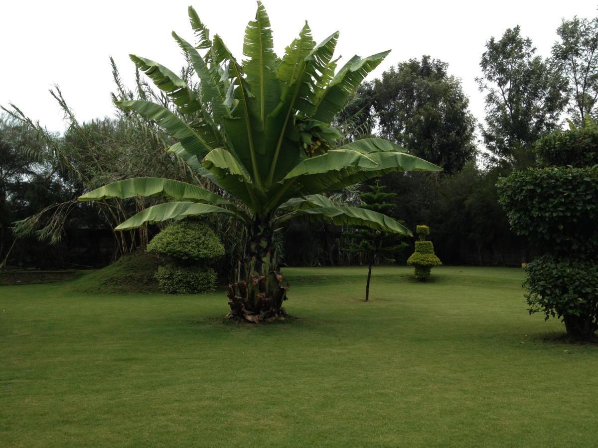 Homebase gardens Nakuru Bagian luar foto