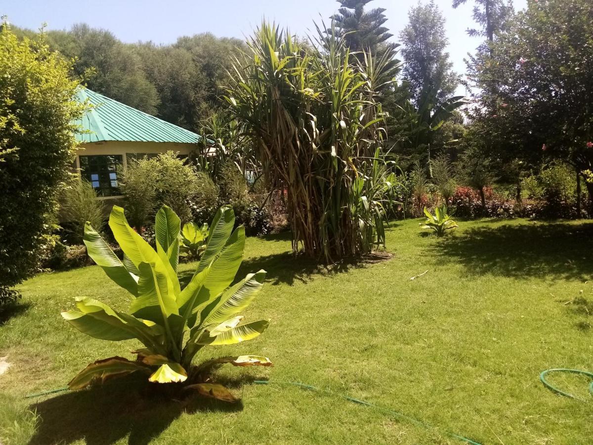 Homebase gardens Nakuru Bagian luar foto