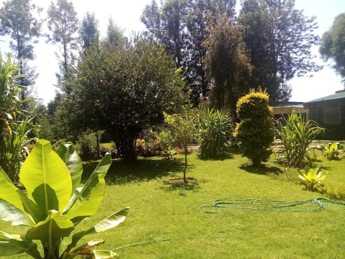 Homebase gardens Nakuru Bagian luar foto